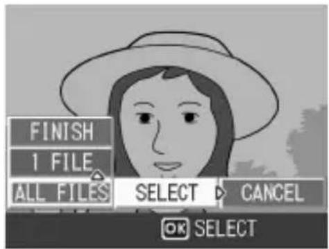 FINISH 1 FILE ALL FILES SELECT CANCEL OK SELECT