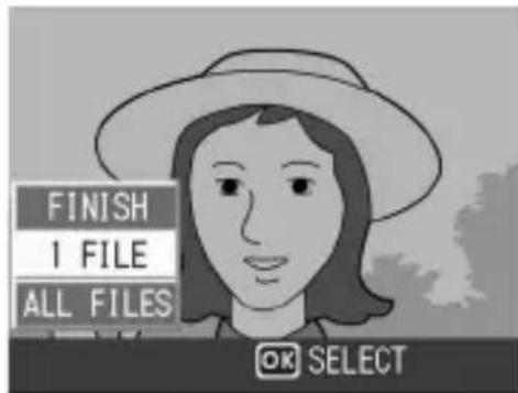 FINISH 1 FILE ALL FILES OK SELECT