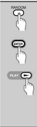 RANDOM ENTER PLAY