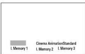 I. Memory 1 Cinema AnimationStandard I. Memory 2 I. Memory 3