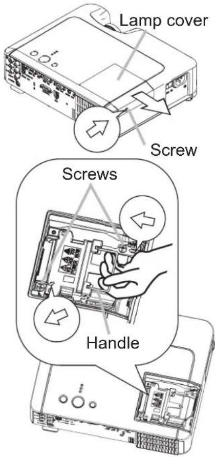 Lamp cover Screw Screws Handle