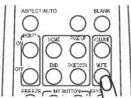 ASPECT AUTO ON OFF FREEZE HOME FIVE UP END RHOODIN VOLUME MUTE MY BUTTON KEYS