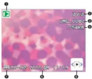 BENQ DC E521 - Playback Mode OLED Monitor Information (Video) - 1