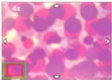 BENQ DC E521 - Magnifying Images - 1