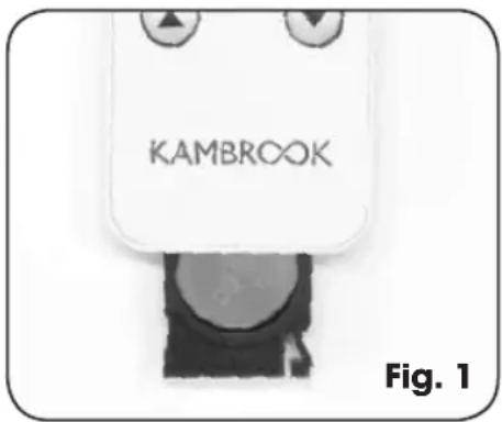 KAMBROOK Fig. 1