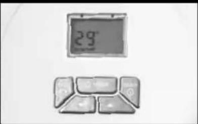 29°