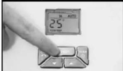25° AUTO