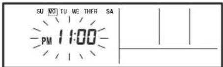 SU NO TU WE THFR SA PM 1:00
