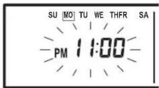 SU MO TU WE THFR SA PM 11:00