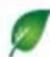 StarTech.com C6PATCH2GN - Technical Specifications - 2