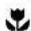 WESTINGHOUSE WHC633BC - Cookware - 1