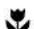 WESTINGHOUSE WHC633BC - IMPORTANT - 1