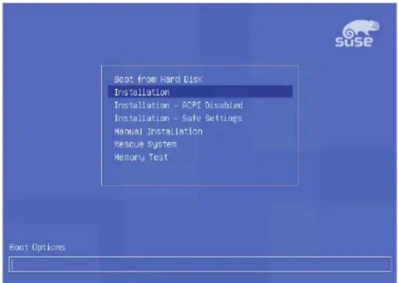 Boot from Hard Disk Installation Installation - ACPI Disabled Installation - Safe Settings Manual Installation Rescue System Memory Test Boot Options