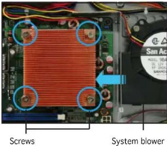 Screws System blower