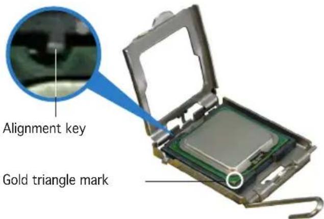 Alignment key Gold triangle mark