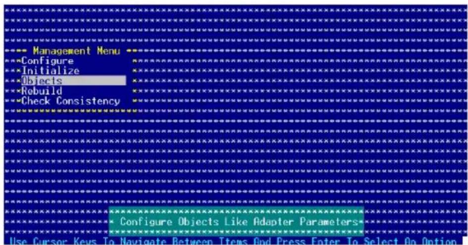 Management Menu Configure Initialize Objects Rebuild Check Consistency Configure Objects Like Adapter Parameters Use Cursor Keys To Navigate Between Items And Press Enter To Select On Option