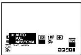 AUTO PAL MESECAM 1W OFF OK