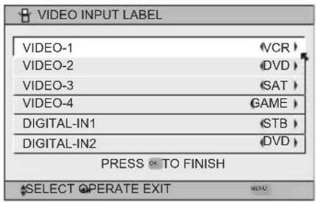 JVC HD-P61R1U - Video Input Label - 5