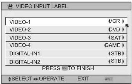 JVC HD-61G887 - Video Input Label - 5