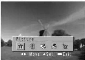Picture Move ▲Sel. → Exit