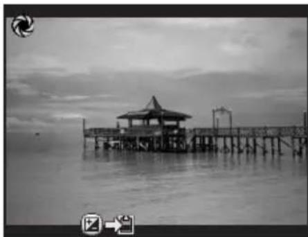 RICOH K-30 - Focus on the subject, and press the RAW/Fx button. - 1