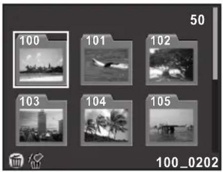 100 101 102 103 104 105 50 100_0202