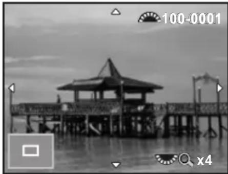 RICOH K-30 - Magnifying Images - 1