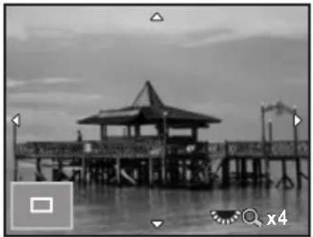RICOH K-30 - Focusing Using Live View - 2
