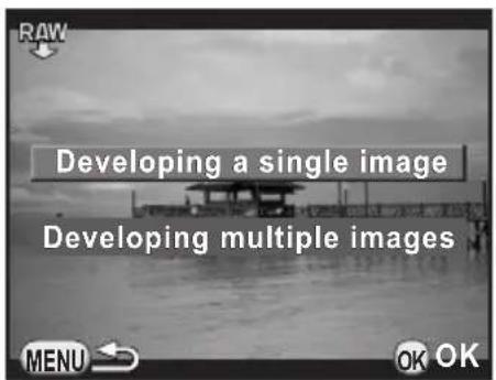 RAW Developing a single image Developing multiple images MENU OK OK