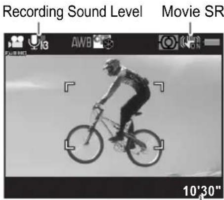 Recording Sound Level Movie SR 10'30"