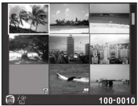 RICOH K-30 - Displaying Multiple Images - 1
