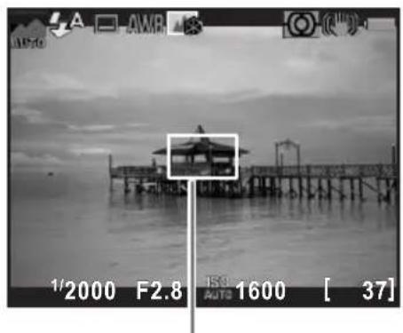 RICOH K-30 - Position the subject inside the AF frame on the monitor, and press the shutter release button halfway. - 1