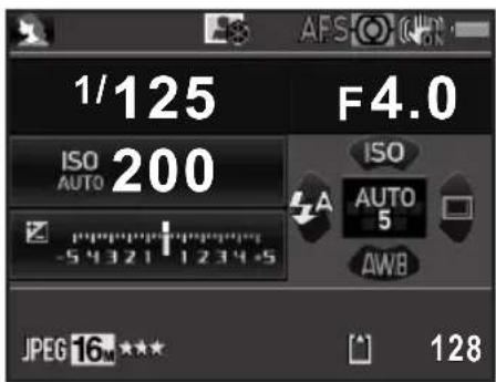 1/125 ISO AUTO 200 -54321 1234.5 F4.0 ISO AUTO 5 AWB JPEG 16 128