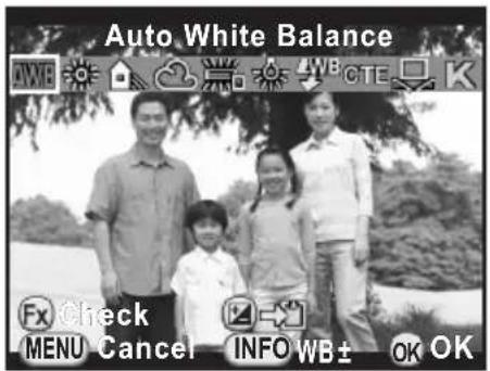 Auto White Balance FX Check MENU Cancel INFO WB± OK OK