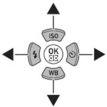 RICOH K-30 - 10Appendix - 4