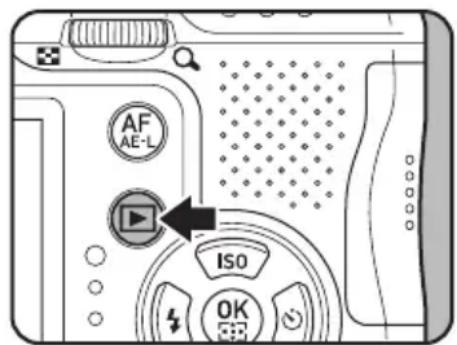 AF AE-L ISO OK