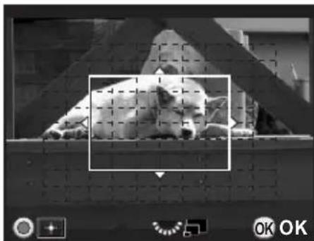 RICOH K-30 - Selecting the Desired Focusing Area - 1