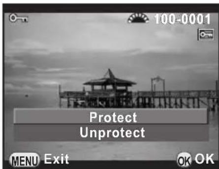 100-0001 Protect Unprotect MENU Exit OK OK