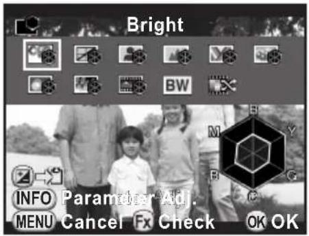 Bright INFO ParameterAdj. MENU Cancel Fx Check OK OK