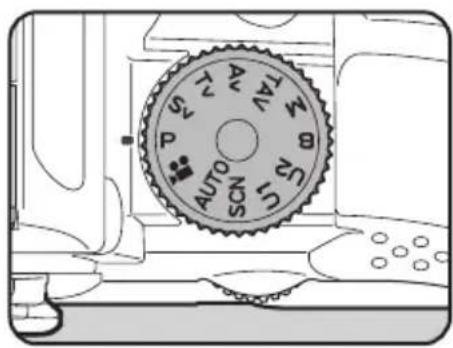 AUTO SUN