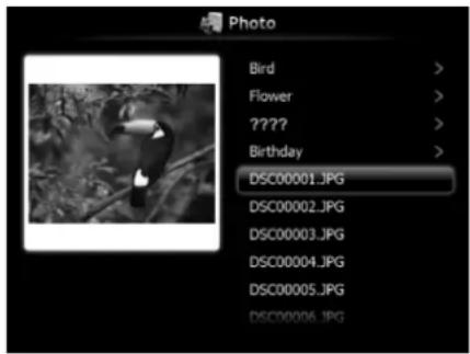 Photo Bird > Flower > ????? Birthday > DSC00001.JPG DSC00002.JPG DSC00003.JPG DSC00004.JPG DSC00005.JPG DSC00006.JPG