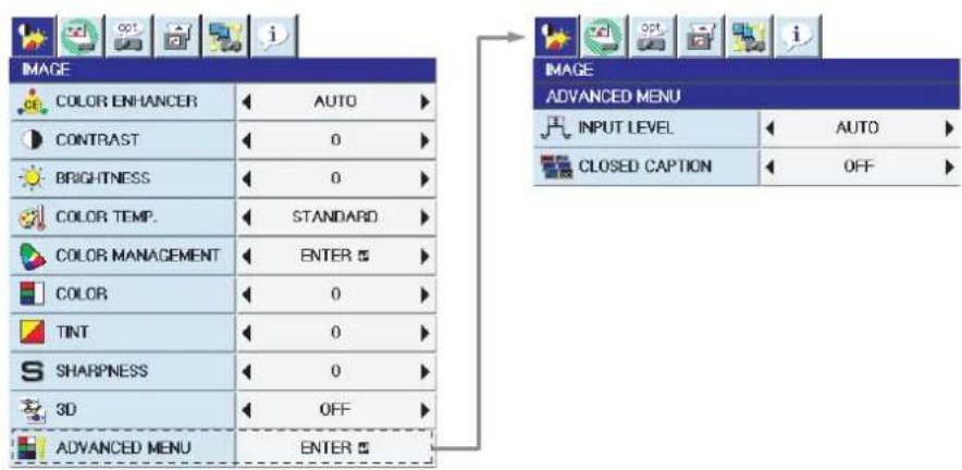 IMAGE COLOR ENHANCER AUTO CONTRAST 0 BRIGHTNESS 0 COLOR TEMP. STANDARD COLOR MANAGEMENT ENTER COLOR 0 TINT 0 SHARPNESS 0 3D OFF ADVANCED MENU ENTER IMAGE ADVANCED MENU INPUT LEVEL AUTO CLOSED CAPTION OFF