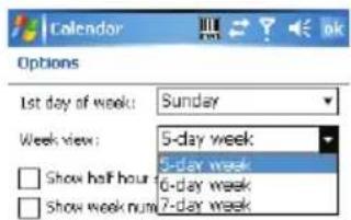 Calendar Options 1st day of week: Sunday Week view: 5-day week 5-day week Show half hour 6-day week Show week num 7-day week