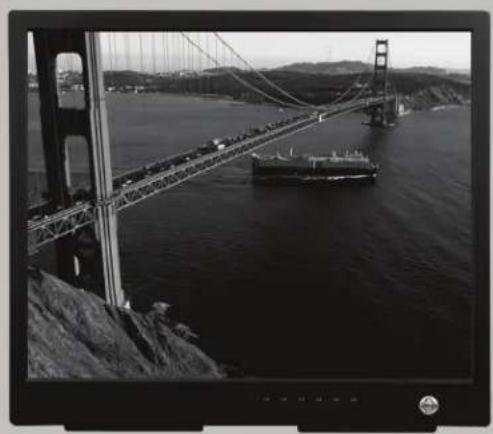Pelco PMCL417A - PMCL400 Series TFT LCD Monitor - 1