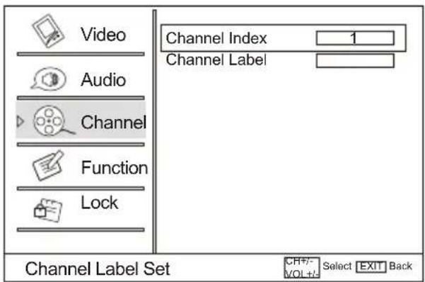 Video Audio Channel Function Lock Channel Index 1 Channel Label Channel Label Set CH+/- Select EXIT Back VOL+/-