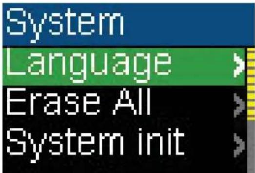 INSIGNIA NS-1A10S - To change the player's language: - 4