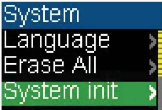 INSIGNIA NS-1A10S - To change the player's language: - 13
