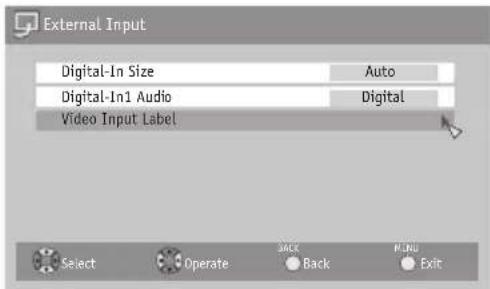 JVC AV-56P787 - Video Input Label - 11