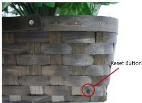 Reset Button
