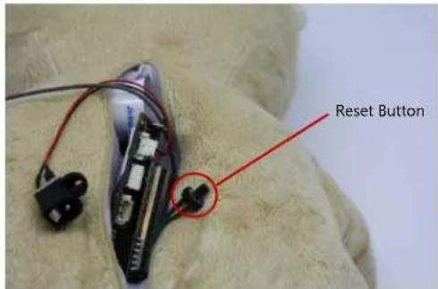 Reset Button